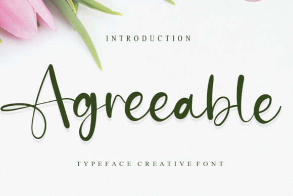 Agreeable Font: A Web Designer’s Review