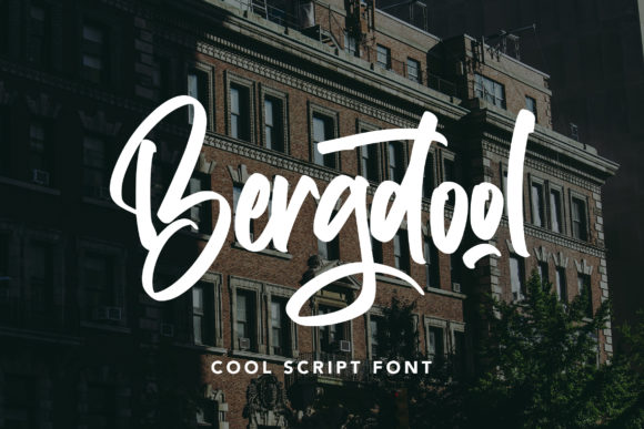 Bergdool: A Modern Script Font for Your Brand