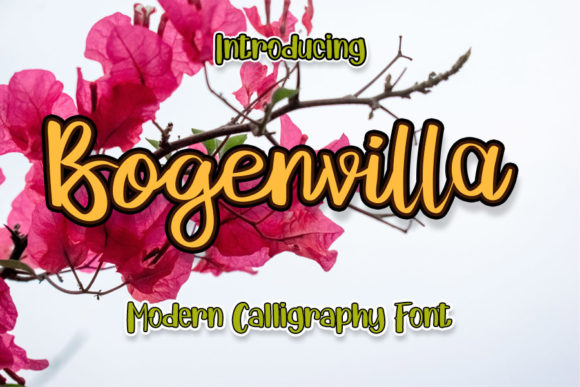 Bogenvilla: A Romantic Handwritten Font for Branding