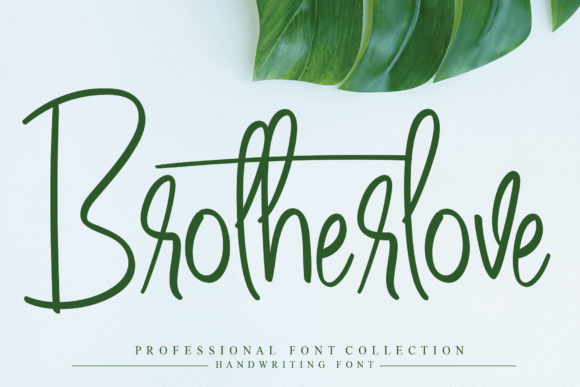 Brotherlove: A Dainty Script Font for Editorial Design