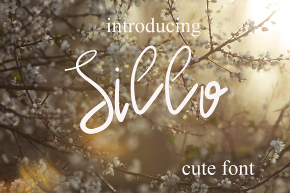Sillo: A Delicate Handwritten Font for Web Design