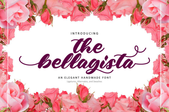 The Bellagista: A Warm Handwritten Font for Editorial Design